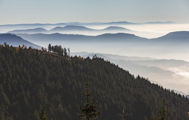 Unbeschwerter Urlauf für Senioren im Schwarzwald.