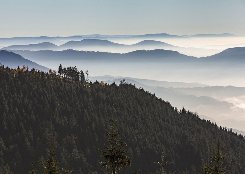 Unbeschwerter Urlauf für Senioren im Schwarzwald. Unbeschwerter Urlauf für Senioren im Schwarzwald.