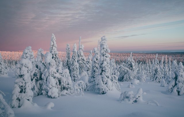 Finland