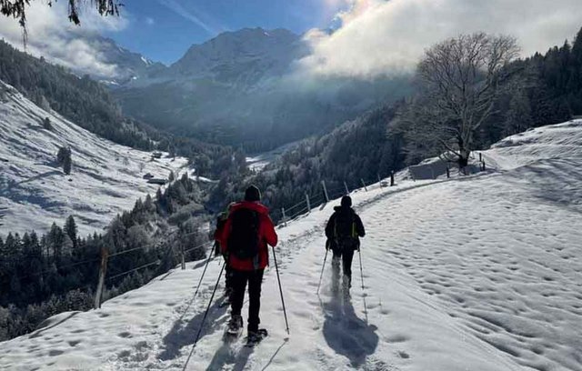 Winterwanderungen mit Blick auf die Berner Alpen