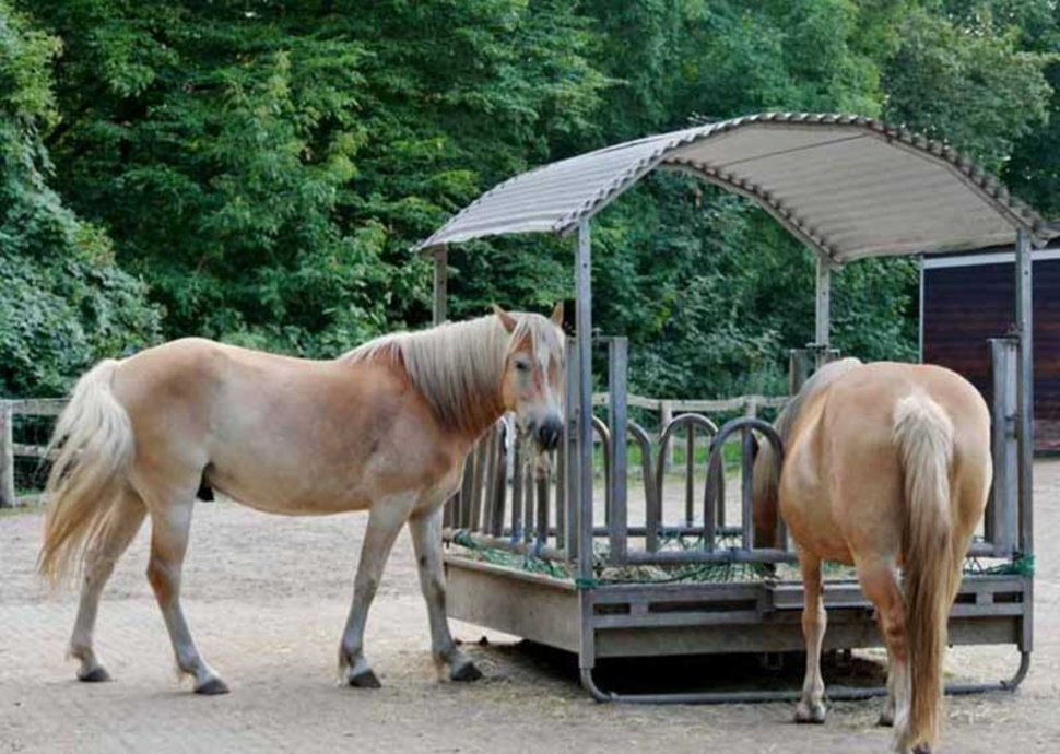 Tier- und Freizeitparks in und um die Schweiz
