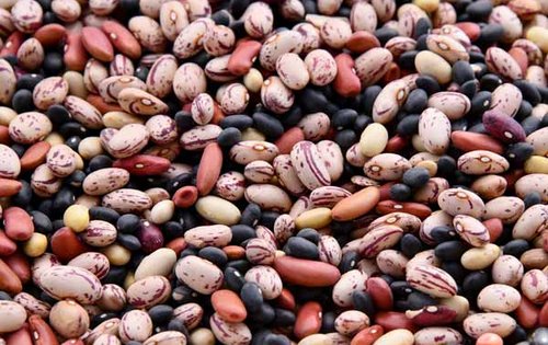 Gedächtnis der 50er: diese Lebensmittel halten fit