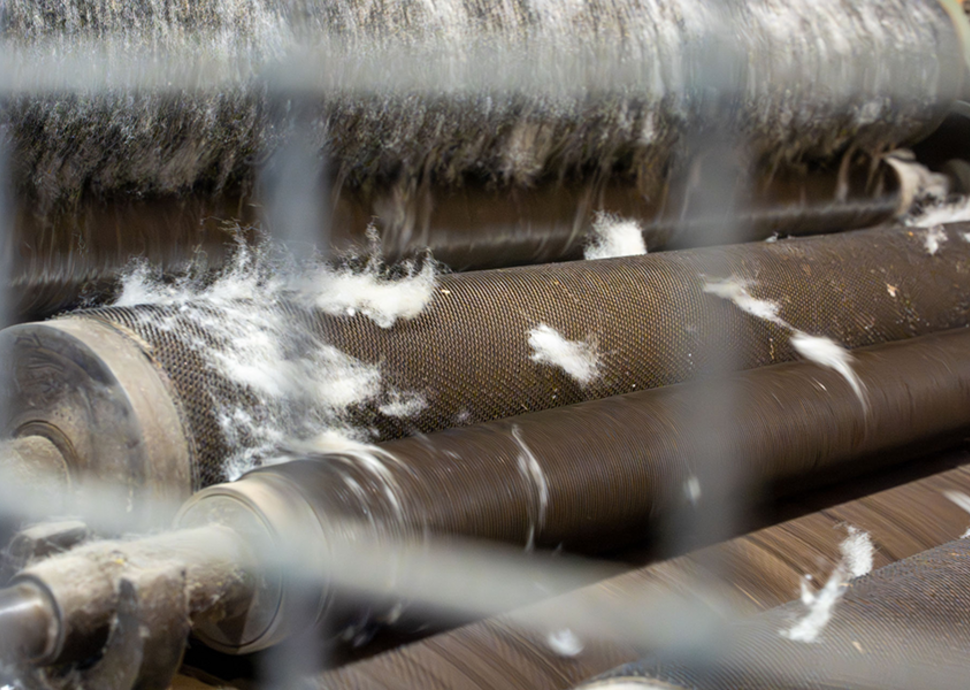 Kuschelige, wollig warme Träume.