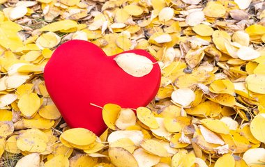 Liebesverlust: Warum Frauen gehen