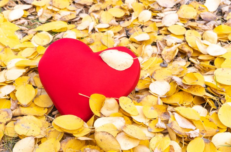 Liebesverlust: Warum Frauen gehen