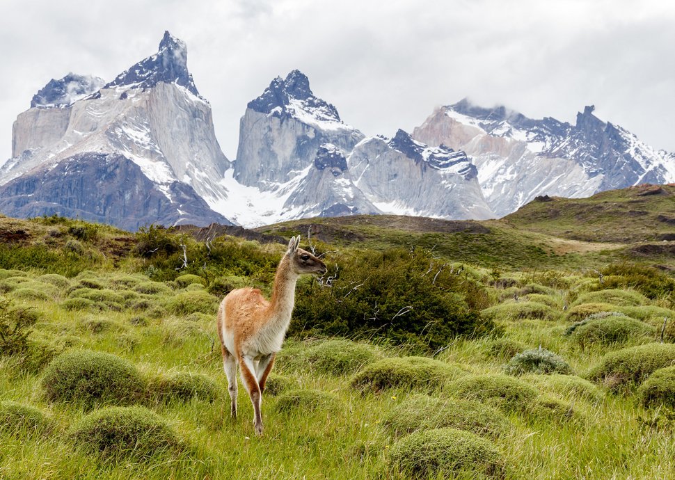 Fünf Gründe, einmal im Leben nach Chile zu reisen Kaum eine Region auf der Welt ist so vielfältig wie Patagonien.
