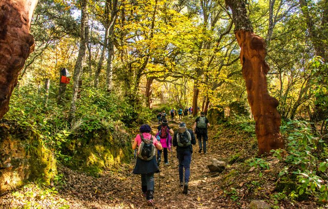 Themen-Tageswanderungen mit Imbach Reisen