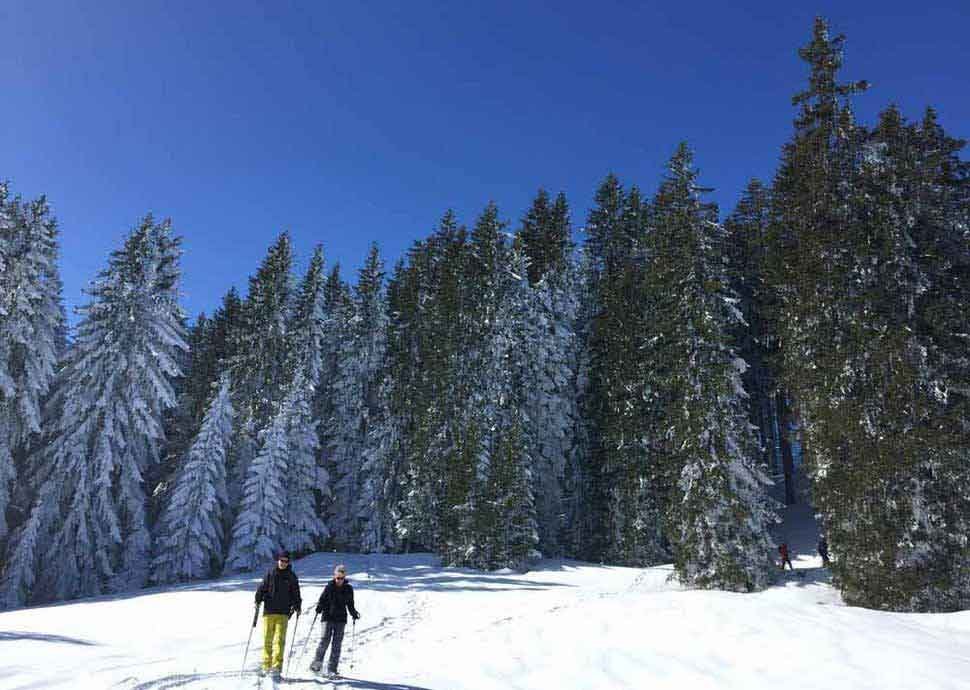 Die vielen Facetten des Schweizer Winters Die vielen Facetten des Schweizer Winters