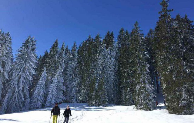 Die vielen Facetten des Schweizer Winters