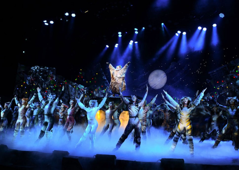 CATS - vom 10.9. bis 21.9. 2025 in Zürich.