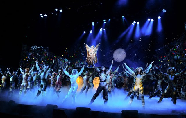 CATS - vom 10.9. bis 21.9. 2025 in Zürich.