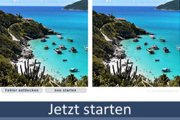 Fehlerbilder, Suchbilder