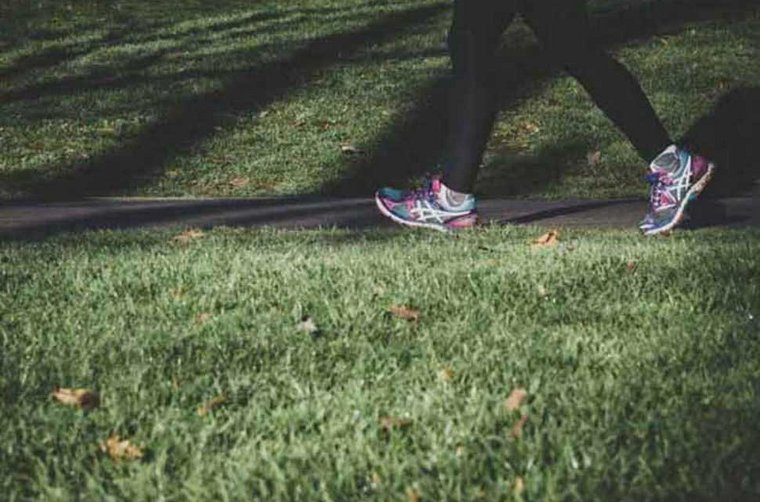 Die Fitness mit Walking steigern Die Fitness mit Walking steigern
