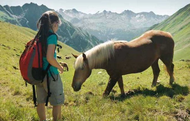 Ferien mit den Enkelkindern in Österreich