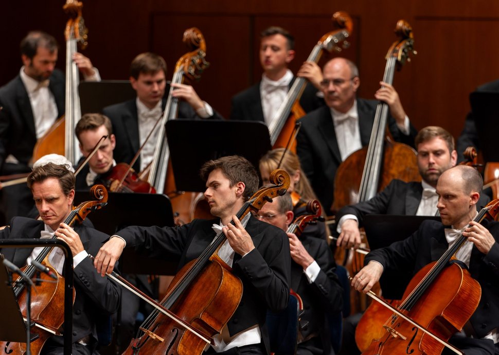 Musikerinnen und Musiker des Luzerner Sinfonieorchesters im Konzert. (Bild: Luzerner Sinfonieorchester/Philipp Schmidli)
