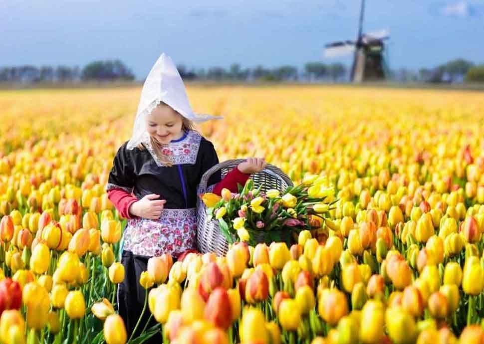 Tulpenblühte - unglaubliche Farbenpracht in Holland