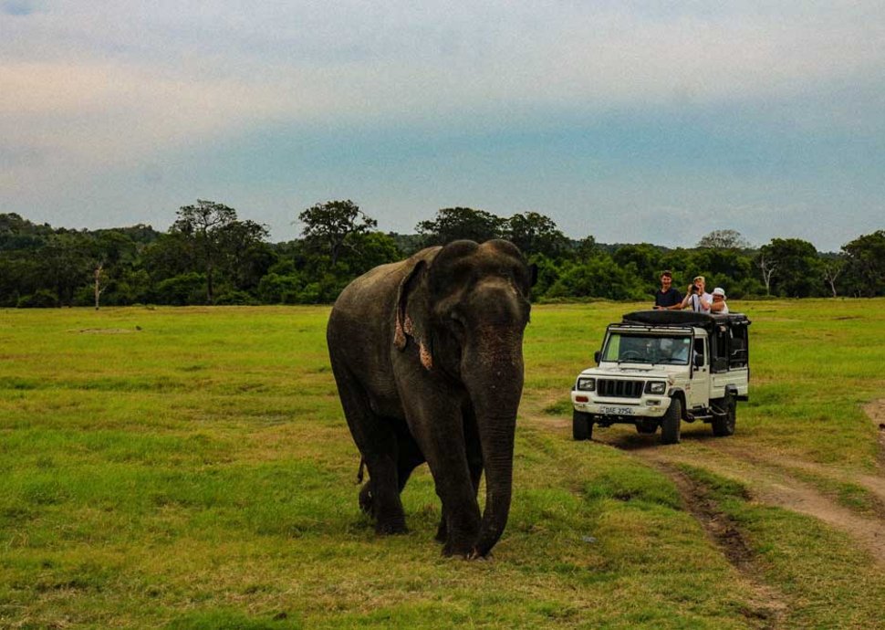 In Sri Lanka gibt es viele Naturschutzgebiete