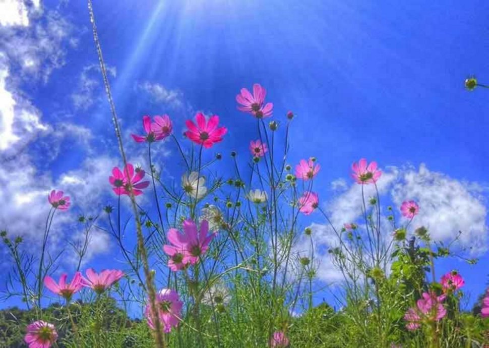 Was Sonne mit unseren Gefühlen macht Was Sonne mit unseren Gefühlen macht
