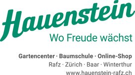 Hauenstein AG