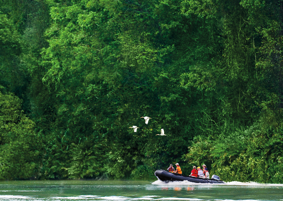 Expedition mit dem Zodiac durch den Dschungel | © 2013 PAGE CHICHESTER