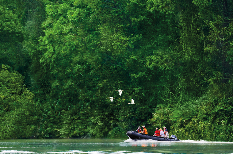 Expedition mit dem Zodiac durch den Dschungel | © 2013 PAGE CHICHESTER