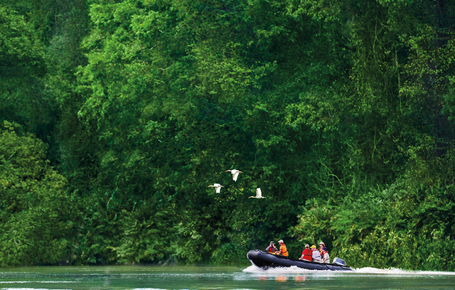 Expedition mit dem Zodiac durch den Dschungel | © 2013 PAGE CHICHESTER