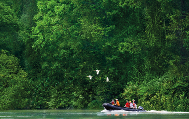 Expedition mit dem Zodiac durch den Dschungel | © 2013 PAGE CHICHESTER