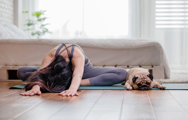 Yoga nicht nur Symbol eines trendigen Lifestyles