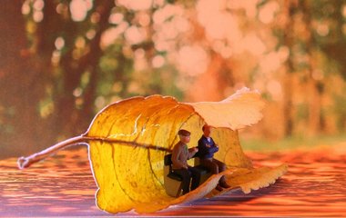 Herbstliche Aktivitäten bieten viel Abwechslung.
