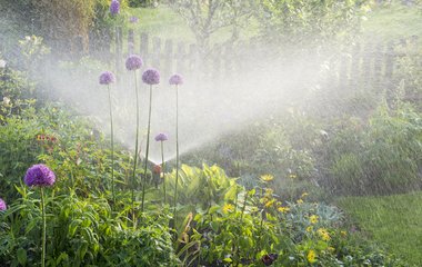 Garten bewässern – aber richtig!