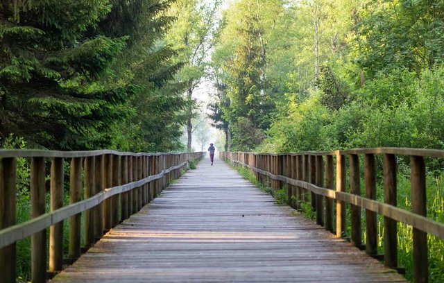 Dank Rehabilitation zurück ins Leben