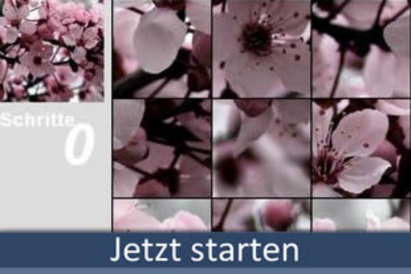 Puzzle 49-Teile spielen bei 50PLUS.ch