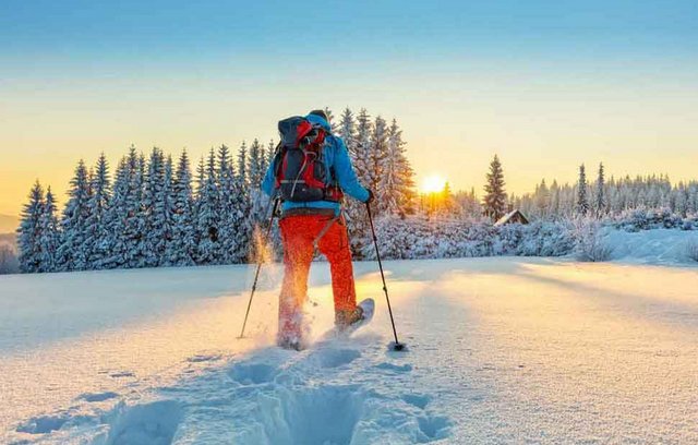 Weshalb Sie Schneeschuh-Wandern probieren sollten