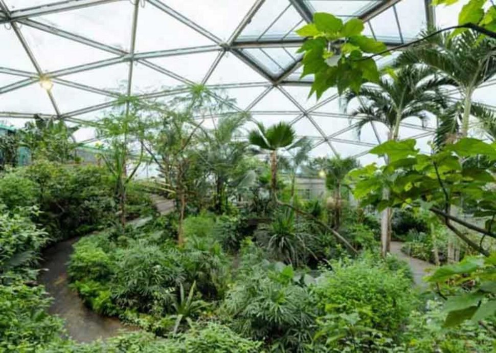 Papiliorama, Ausflugsziel, Ausflüge Kerzers