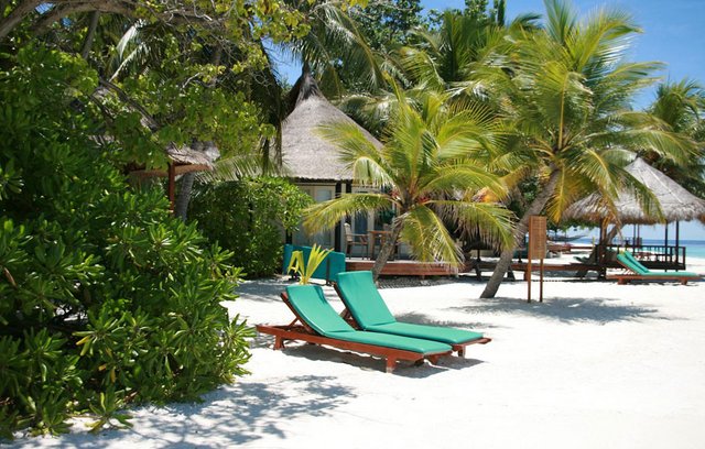 Ein Traum von Lagunen und Atollen wird wahr.