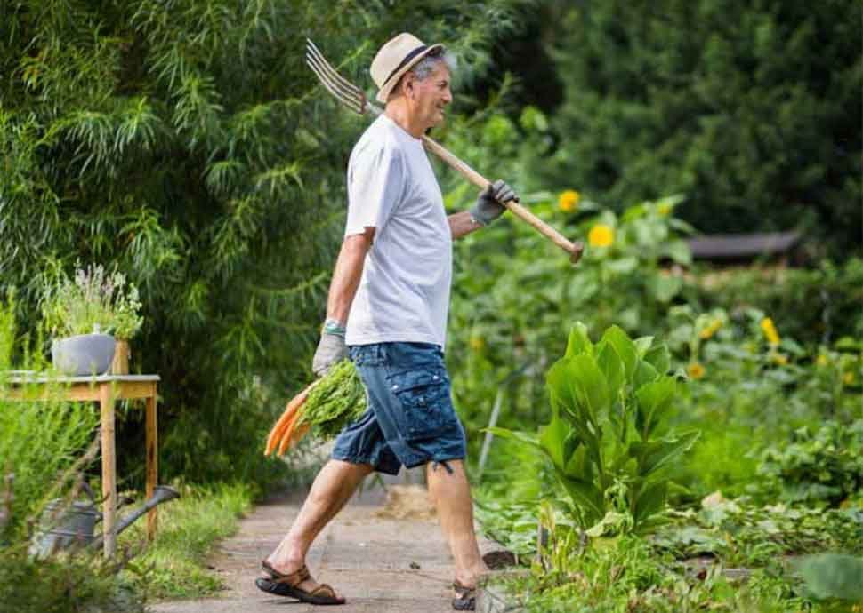 Rente oder Kapital: Ein Wegweiser  