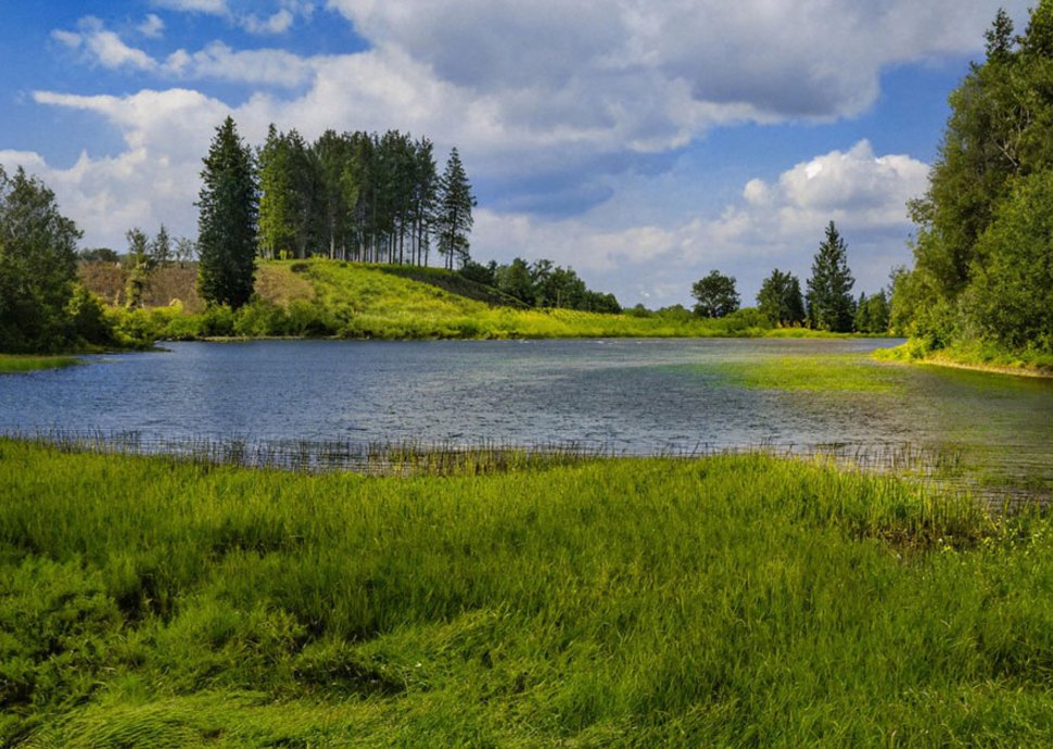 Der Harz eignet sich perfekt für Urlaub.