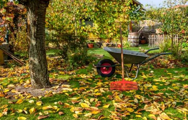 Gartenarbeiten - was im Herbst zu tun ist