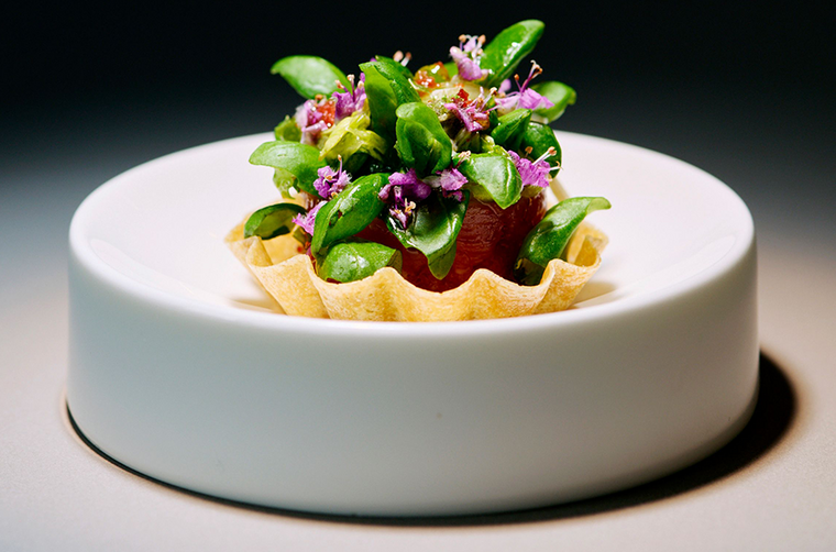 Das Excellence Gourmetfestival '26