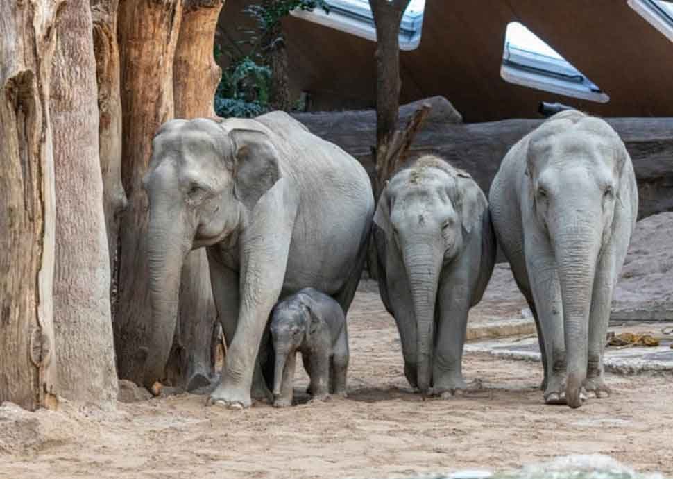 Zoo Zürich