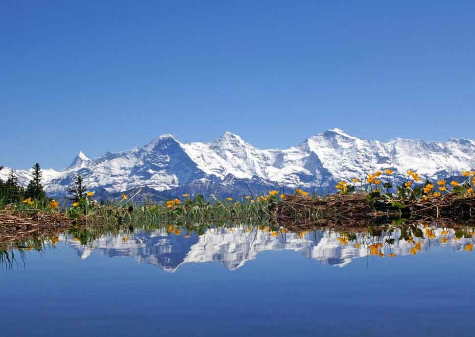 Niederhorn Panorama