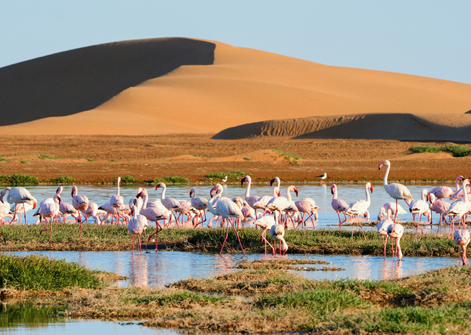 Walvis Bay in Namibia