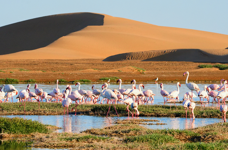 Walvis Bay in Namibia