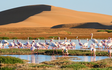 Walvis Bay in Namibia
