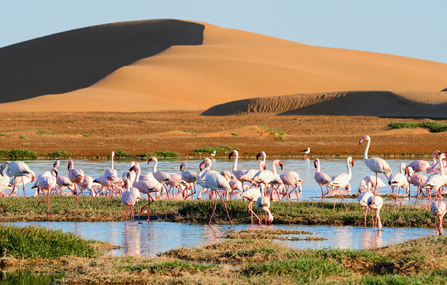 Walvis Bay in Namibia