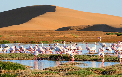 Walvis Bay in Namibia