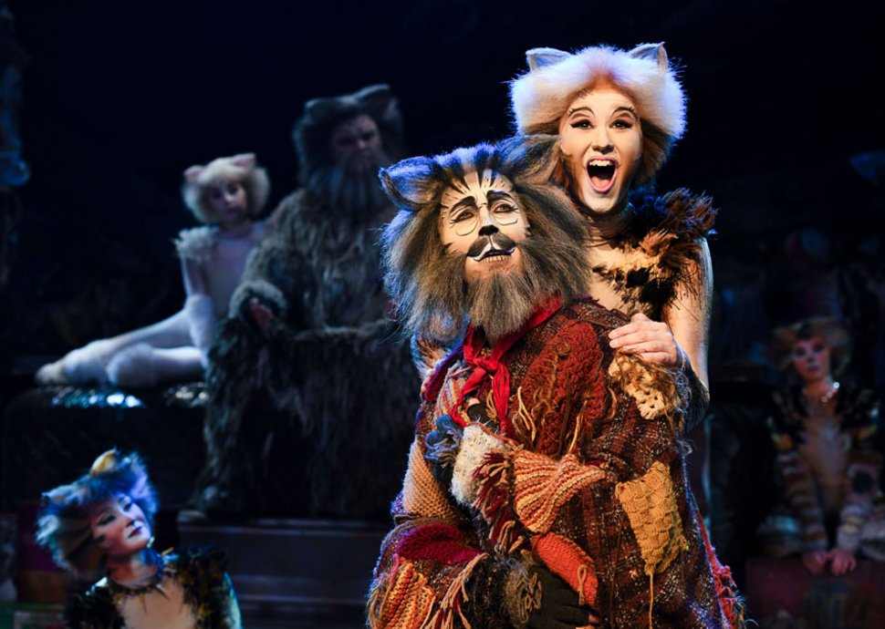 CATS - vom 10.9. bis 21.9. 2025 in Zürich.