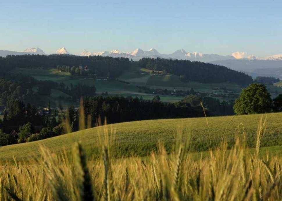 Genuss für alle Sinne auf der Kambly Erlebnis Tour