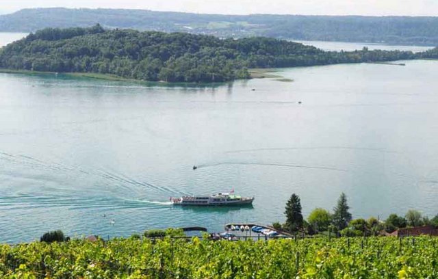 Murtensee Ausflugsziel