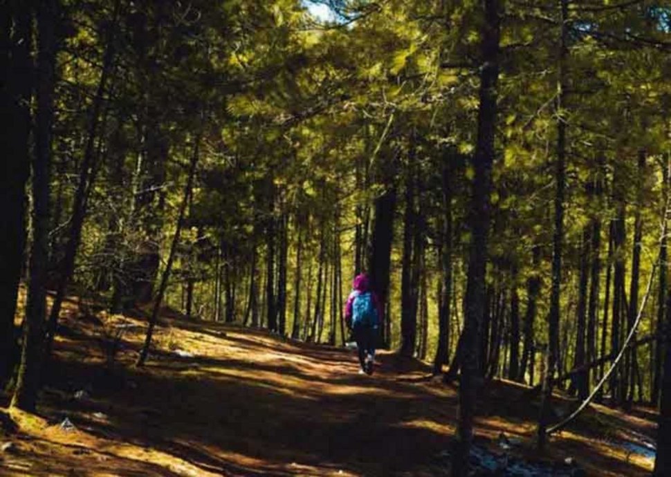 Wandern: die besten Kniffs für eine unfallfreie Saison